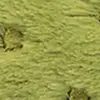 Farbe Grün