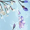 Blau_443