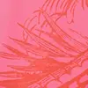 Rosa&Pink_313
