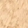 Farbe Beige