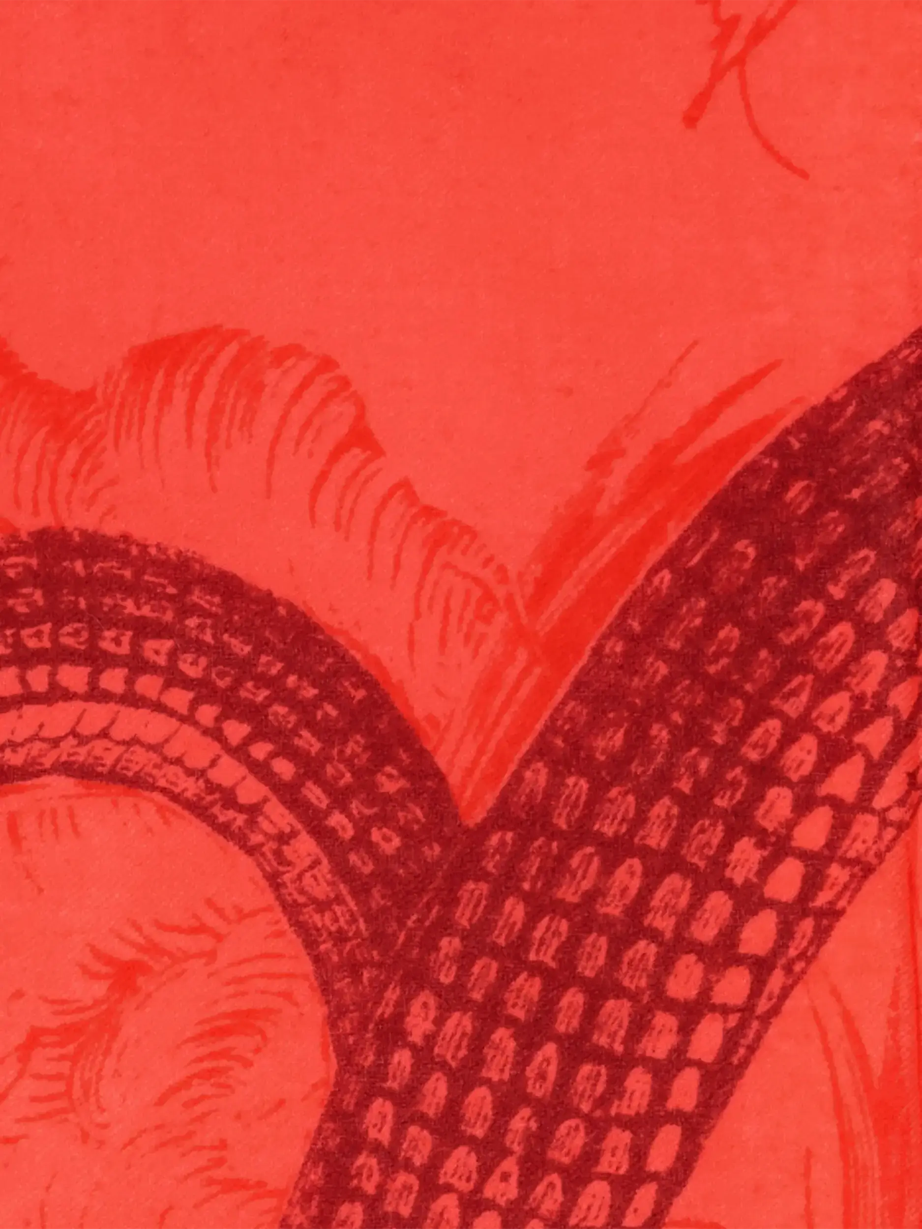 Gemustertes Tuch 'Garden Eden' aus Kaschmir - Artikel weitere Detailansicht 1 - Farbe: Rot