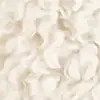 Farbe Beige