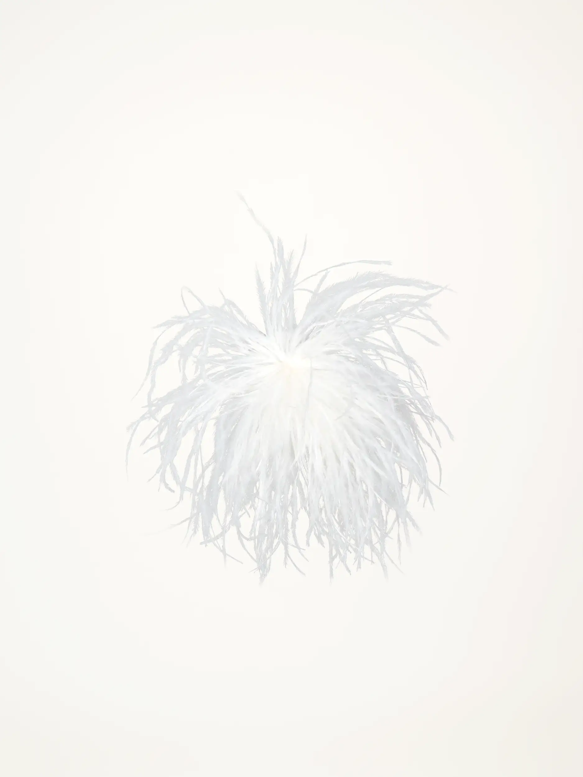 Federbrosche - Artikelansicht - Farbe: Creme