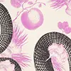 Rosa&Pink_203