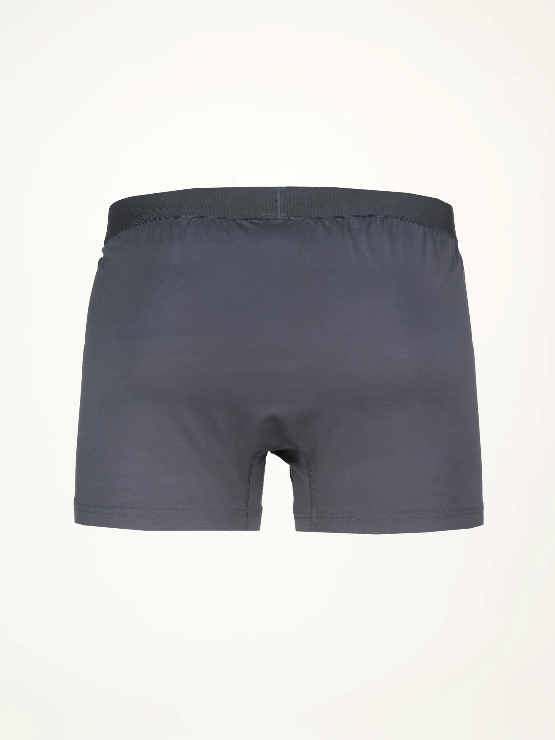 Trunk Shorty - Artikel Rückseite - Farbe: Grau