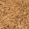 Farbe Braun