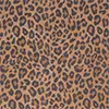 Farbe 