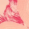 Rosa&Pink_313