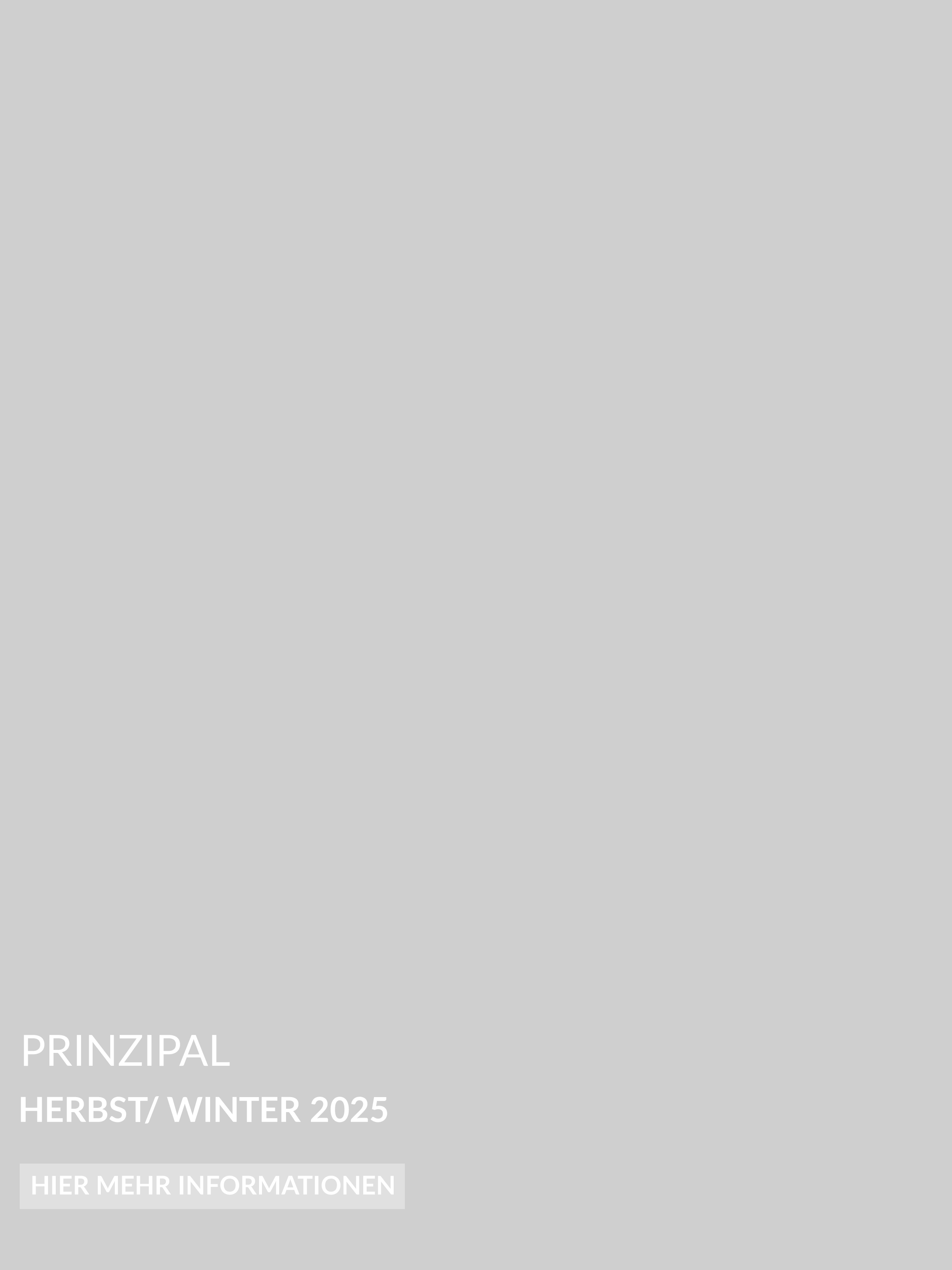 Unsere Schnitzler Seiten im Prinzipal Magazin.