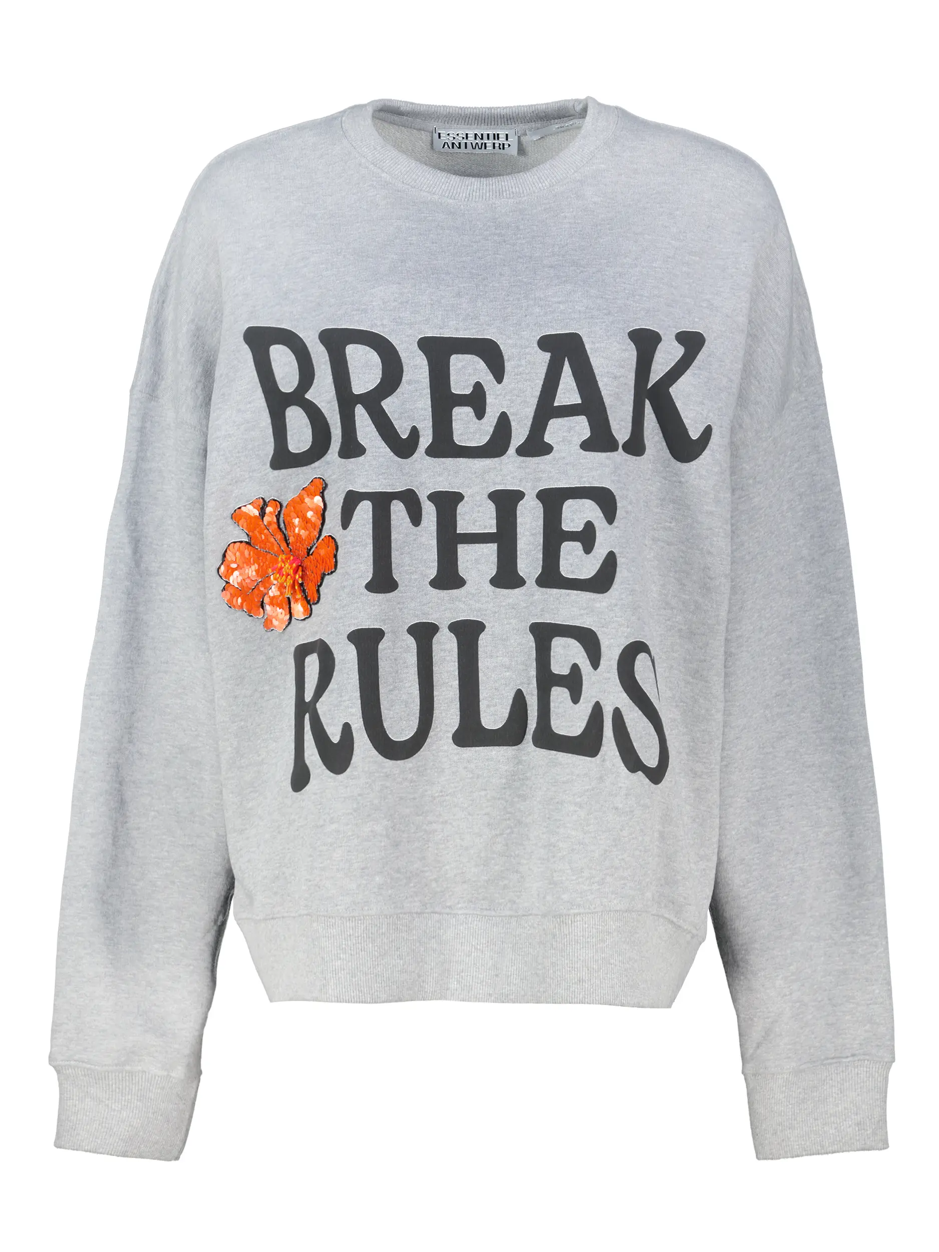 Sweatshirt 'Ixperience' mit Print - Artikel Vorderseite - Farbe: Grau