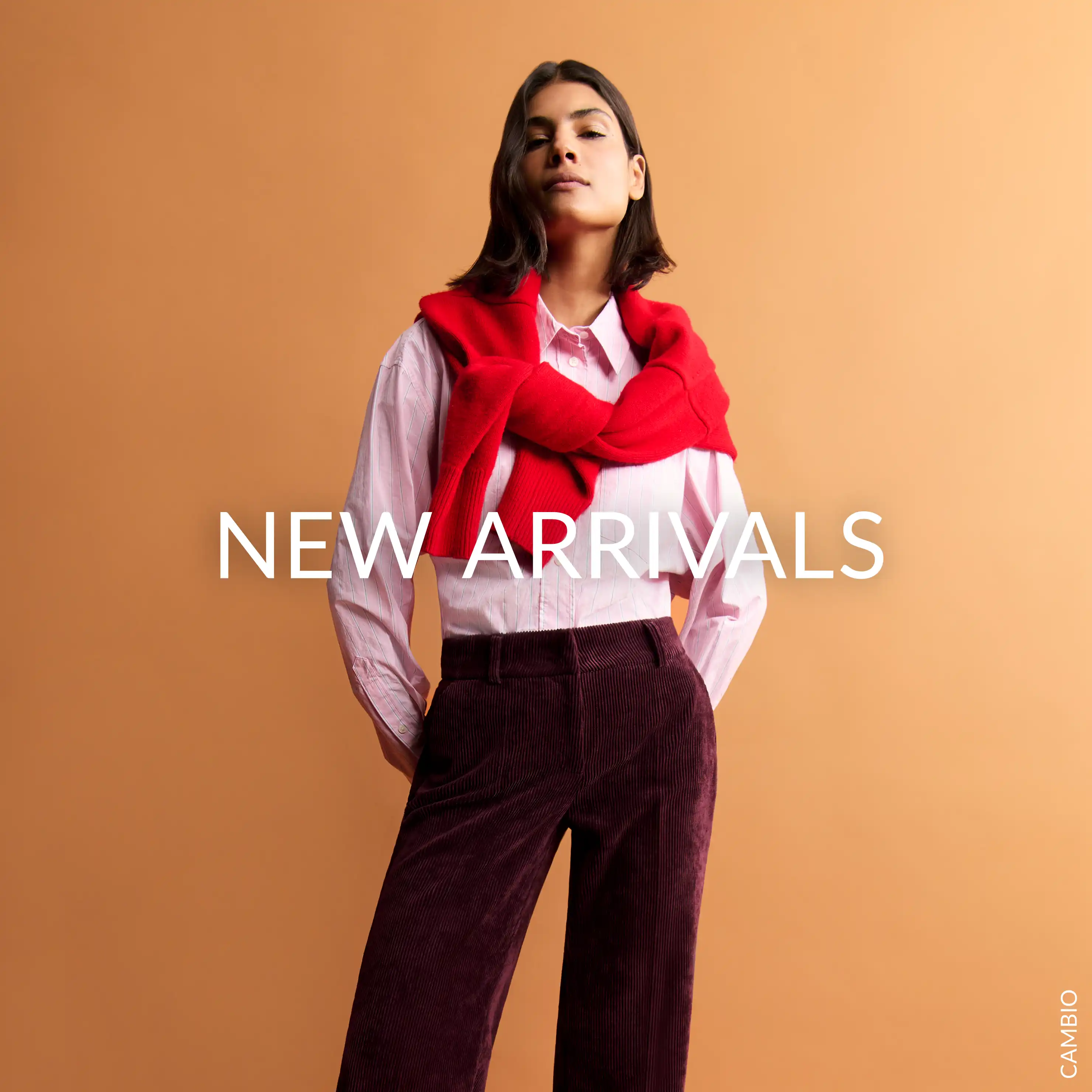 Hier zu den New Arrivals für Damen