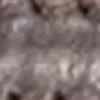 Farbe Braun