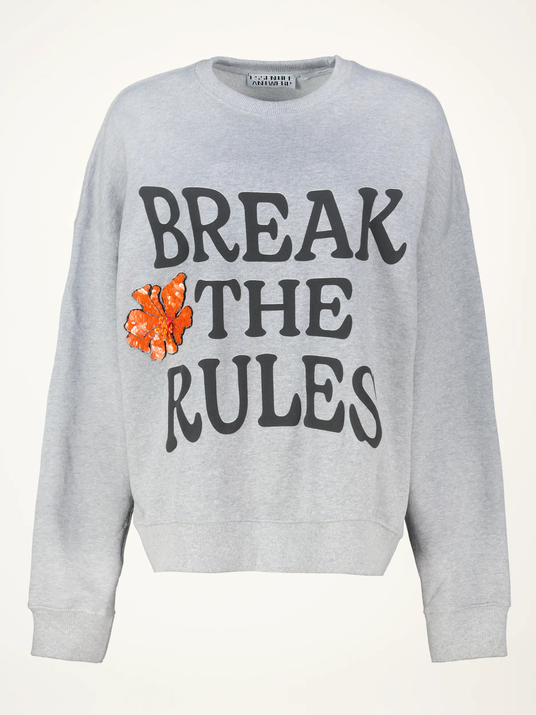 Sweatshirt 'Ixperience' mit Print - Artikelansicht - Farbe: Grau